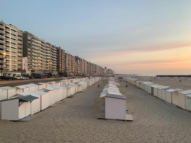 Appartement Ann Blankenberge Eksteriør billede